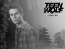 Teen Wolf Fonds d'crans par les fans 