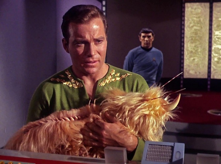 Le capitaine Kirk face  un choix impossible